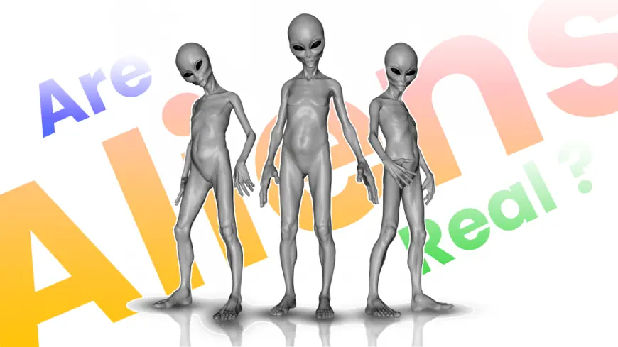 Are There Aliens? Evidence, Theories and Scientific Search